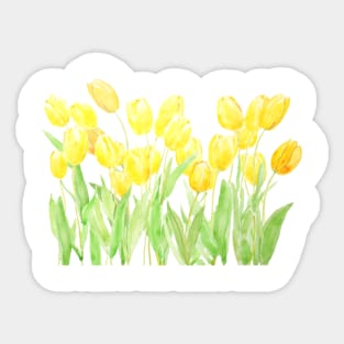 yellow tulips field Sticker